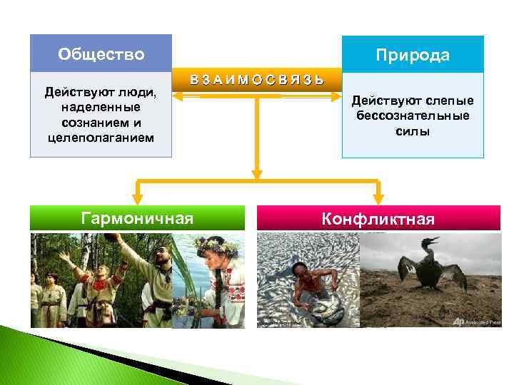 Общество Действуют люди, наделенные сознанием и целеполаганием Природа ВЗАИМОСВЯЗЬ Гармоничная Действуют слепые бессознательные силы