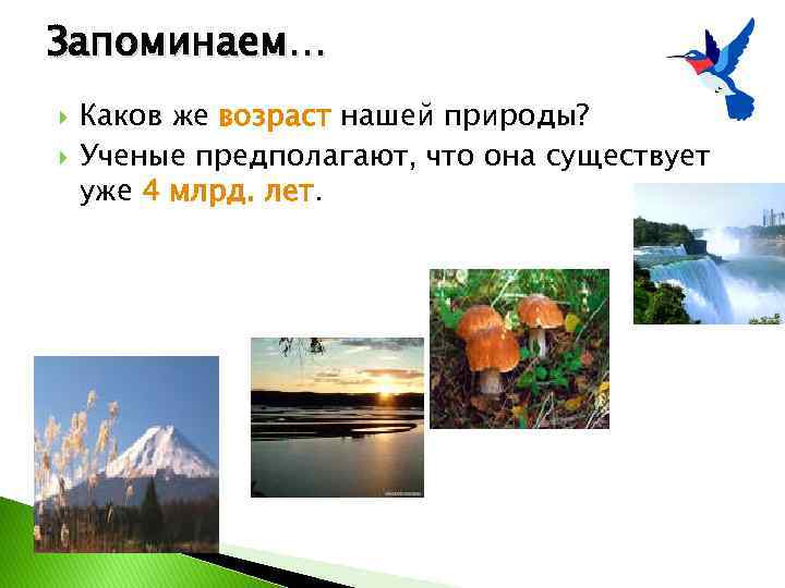 Запоминаем… Каков же возраст нашей природы? Ученые предполагают, что она существует уже 4 млрд.