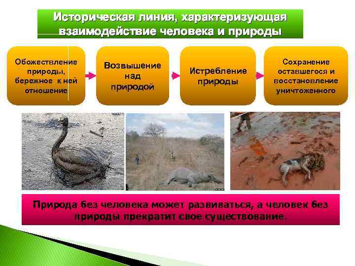 Историческая линия, характеризующая взаимодействие человека и природы Обожествление природы, бережное к ней отношение Возвышение