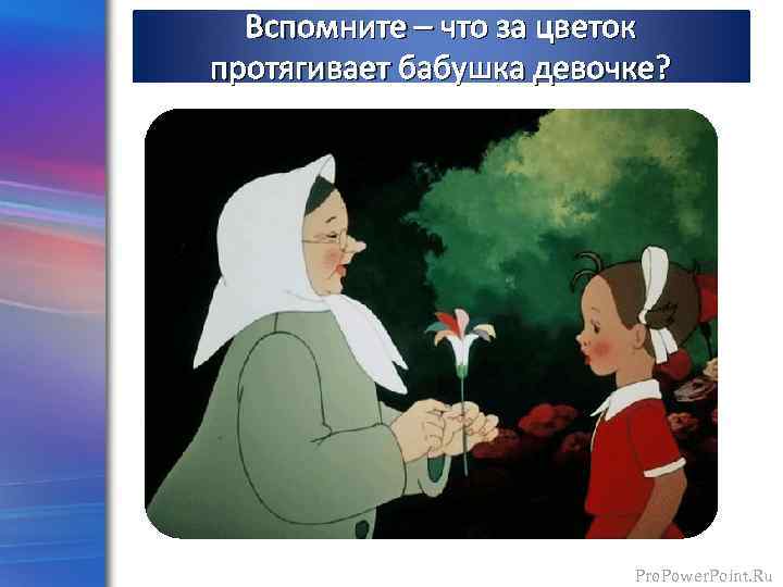 Вспомните – что за цветок протягивает бабушка девочке? Pro. Power. Point. Ru 