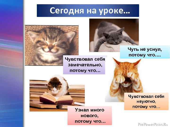 Сегодня на уроке… Чувствовал себя замечательно, потому что… Узнал много нового, потому что… Чуть