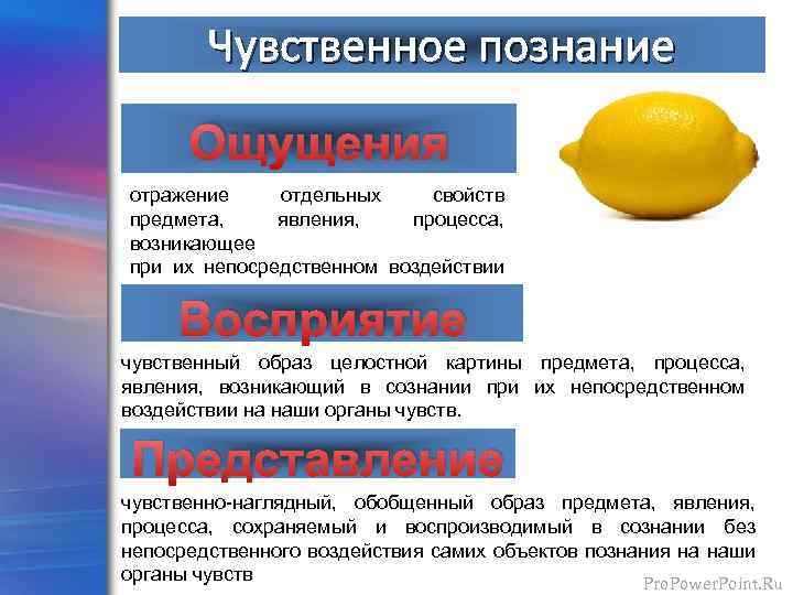 Чувственное познание Ощущения отражение отдельных свойств предмета, явления, процесса, возникающее при их непосредственном воздействии