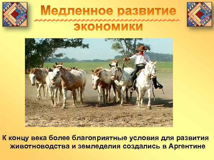 К концу века более благоприятные условия для развития животноводства и земледелия создались в Аргентине