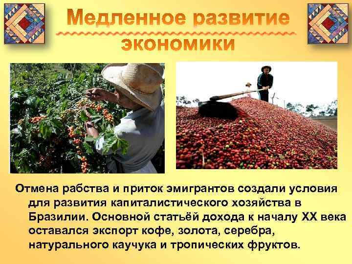 Отмена рабства и приток эмигрантов создали условия для развития капиталистического хозяйства в Бразилии. Основной