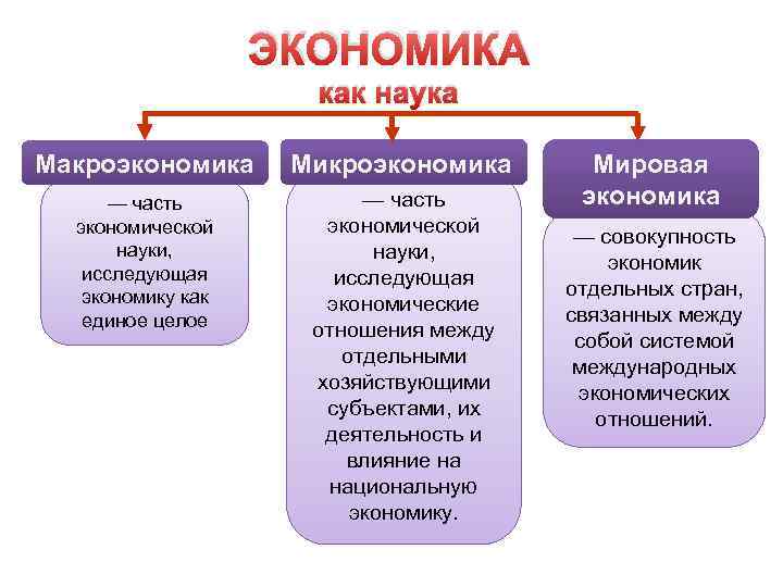 Развернутый план экономика как наука