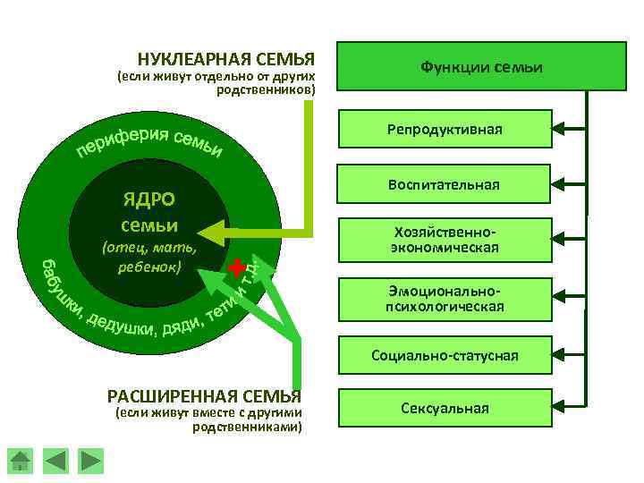 НУКЛЕАРНАЯ СЕМЬЯ (если живут отдельно от других родственников) Функции семьи Репродуктивная ЯДРО семьи (отец,