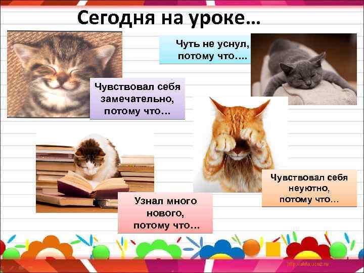 Сегодня на уроке… Чуть не уснул, потому что…. Чувствовал себя замечательно, потому что… Узнал