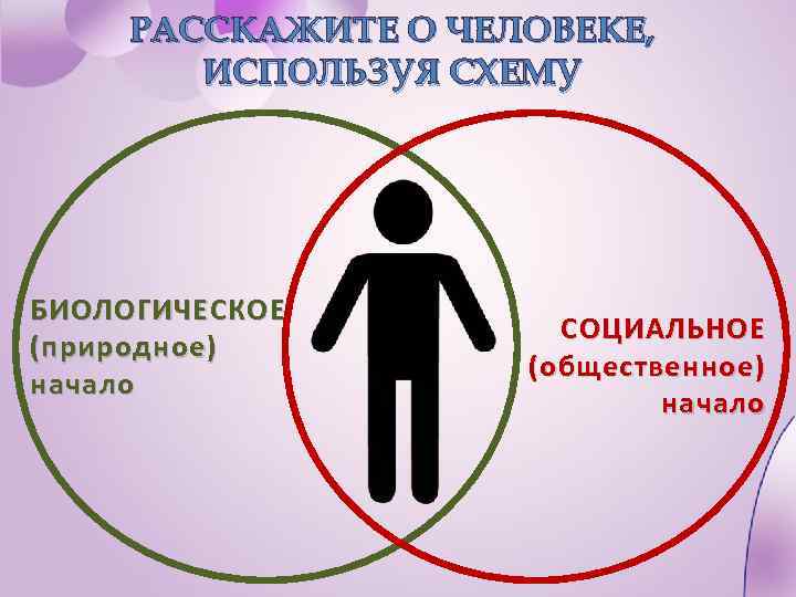 РАССКАЖИТЕ О ЧЕЛОВЕКЕ, ИСПОЛЬЗУЯ СХЕМУ БИОЛОГИЧЕСКОЕ (природное) начало СОЦИАЛЬНОЕ (общественное) начало 