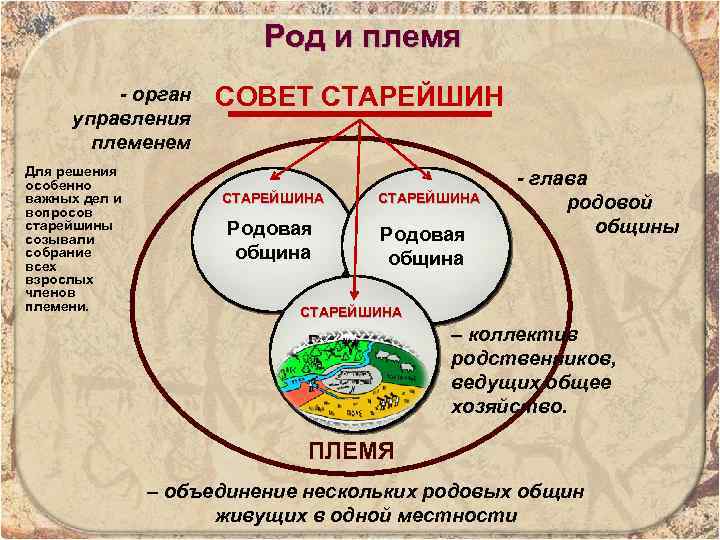 Дополни схему род племя