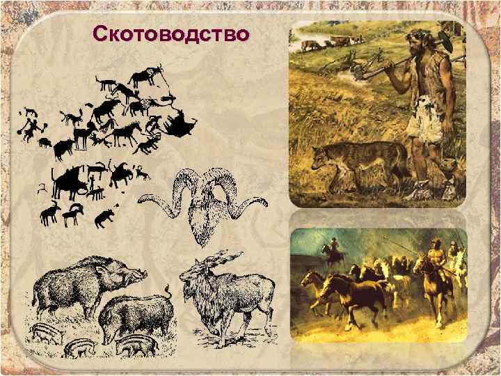 Скотоводство 