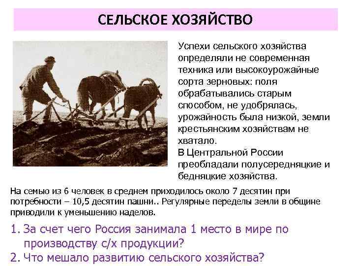 СЕЛЬСКОЕ ХОЗЯЙСТВО Успехи сельского хозяйства определяли не современная техника или высокоурожайные сорта зерновых: поля