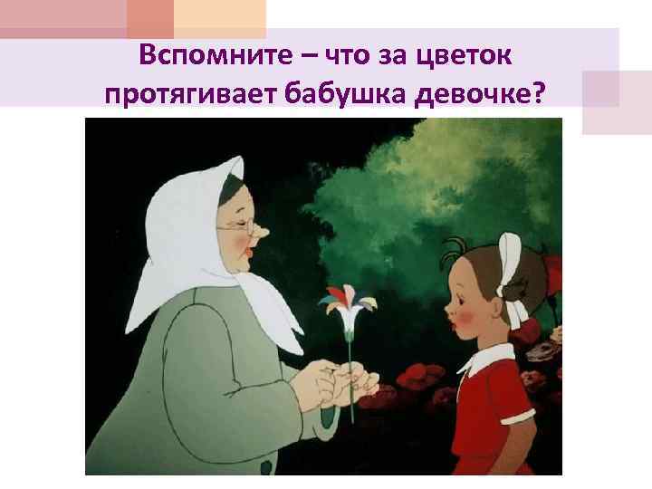Вспомните – что за цветок протягивает бабушка девочке? 
