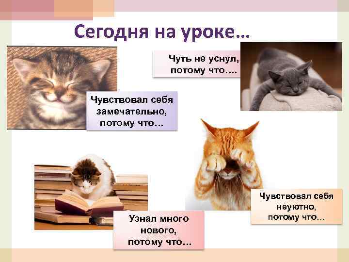 Сегодня на уроке… Чуть не уснул, потому что…. Чувствовал себя замечательно, потому что… Узнал