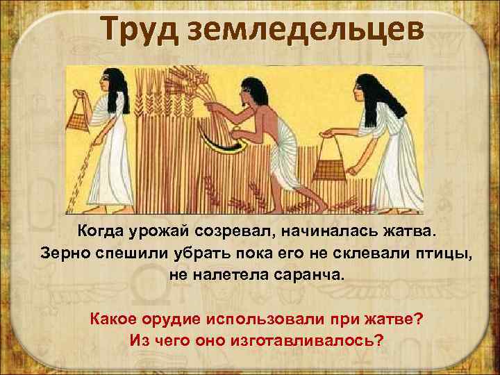 Труд земледельцев Когда урожай созревал, начиналась жатва. Зерно спешили убрать пока его не склевали