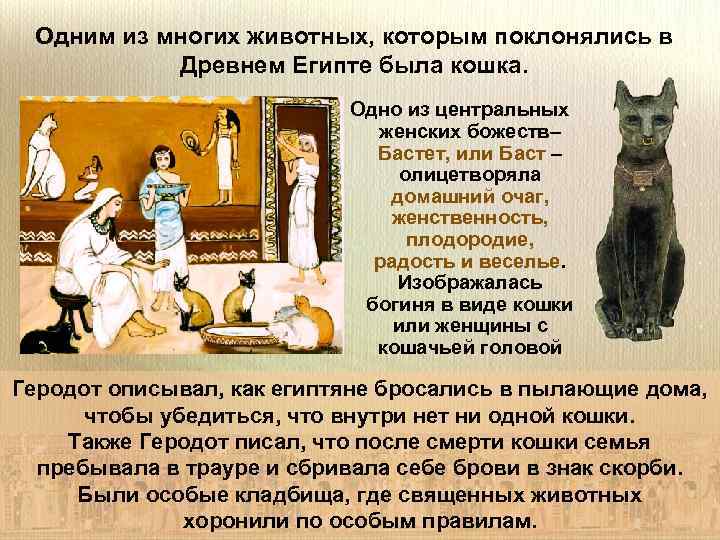 Одним из многих животных, которым поклонялись в Древнем Египте была кошка. Одно из центральных