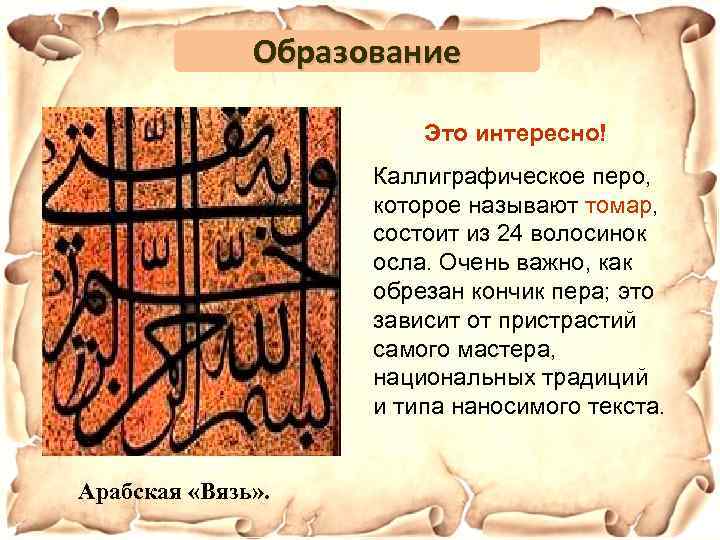 Образование Это интересно! Каллиграфическое перо, которое называют томар, состоит из 24 волосинок осла. Очень