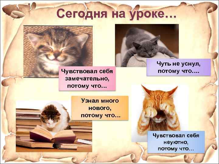  Сегодня на уроке… Чувствовал себя замечательно, потому что… Чуть не уснул, потому что….