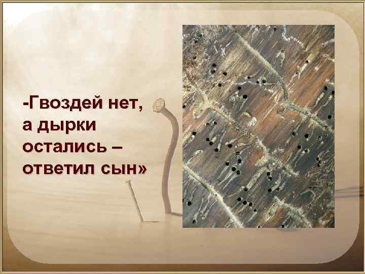 -Гвоздей нет, а дырки остались – ответил сын» 