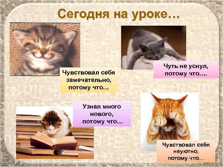  Сегодня на уроке… Чувствовал себя замечательно, потому что… Чуть не уснул, потому что….