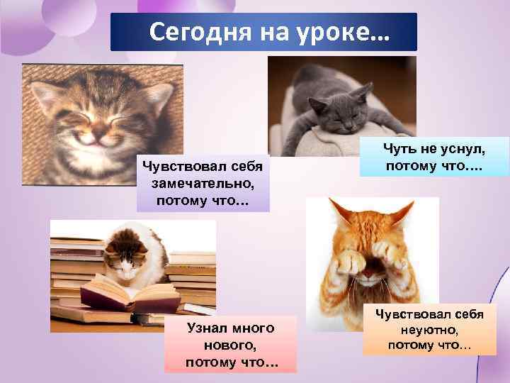 Сегодня на уроке… Чувствовал себя замечательно, потому что… Узнал много нового, потому что… Чуть