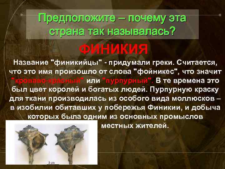 Предположите – почему эта страна так называлась? ФИНИКИЯ Название "финикийцы" - придумали греки. Считается,