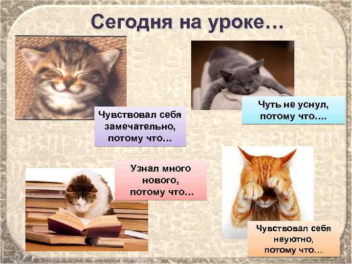  Сегодня на уроке… Чувствовал себя замечательно, потому что… Чуть не уснул, потому что….