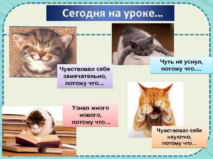 Сегодня на уроке… Чувствовал себя замечательно, потому что… Чуть не уснул, потому что…. Узнал