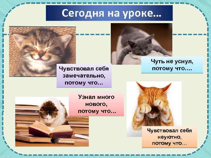 Сегодня на уроке… Чувствовал себя замечательно, потому что… Чуть не уснул, потому что…. Узнал