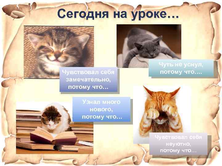  Сегодня на уроке… Чувствовал себя замечательно, потому что… Чуть не уснул, потому что….