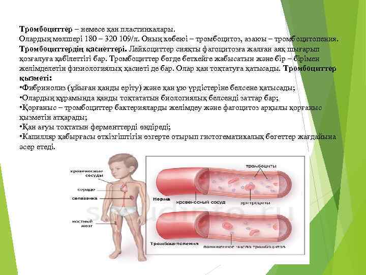 Тромбоциттер – немесе қан пластинкалары. Олардың мөлшері 180 – 320 109/л. Оның көбеюі –