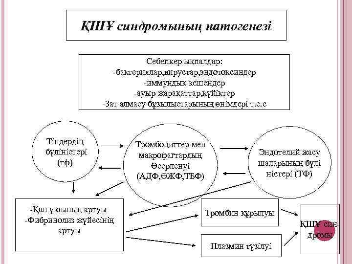 ҚШҰ синдромының патогенезі Себепкер ықпалдар: -бактериялар, вирустар, эндотоксиндер -иммундық кешендер -ауыр жарақаттар, күйіктер -Зат