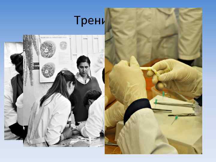 Тренировки 