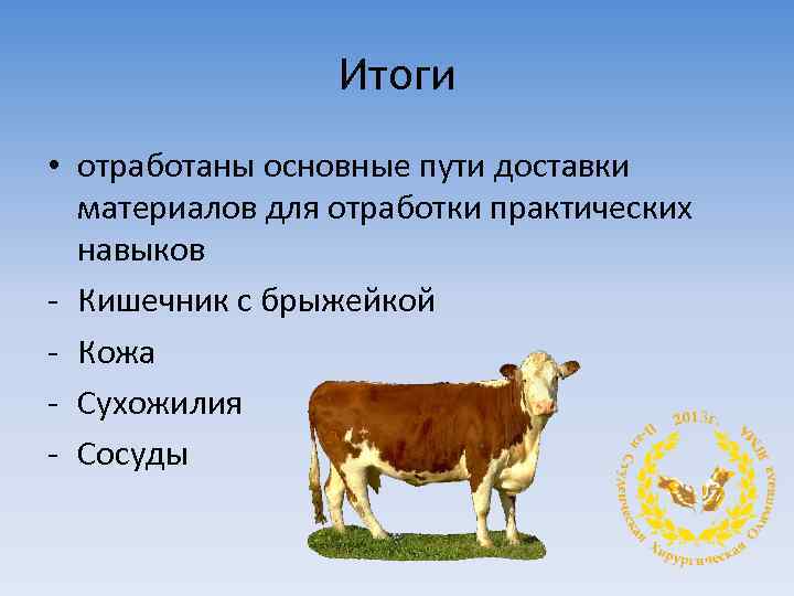 Итоги • отработаны основные пути доставки материалов для отработки практических навыков - Кишечник с