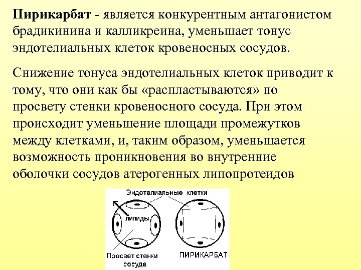 Пирикарбат - является конкурентным антагонистом брадикинина и калликреина, уменьшает тонус эндотелиальных клеток кровеносных сосудов.