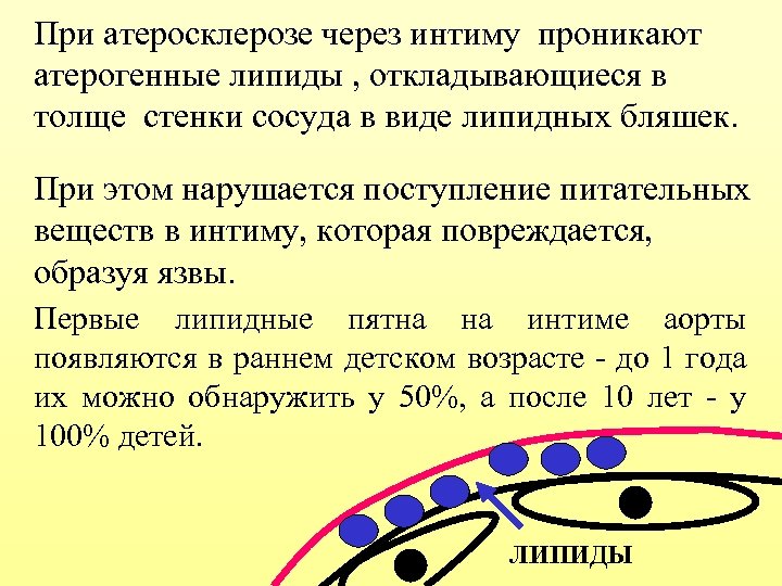При атеросклерозе через интиму проникают атерогенные липиды , откладывающиеся в толще стенки сосуда в