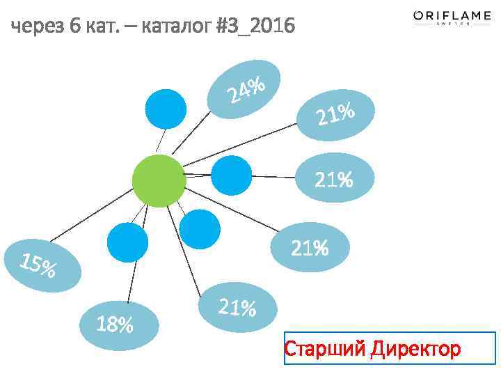 через 6 кат. – каталог #3_2016 24% 21% 21% 15% 18% 21% Старший Директор