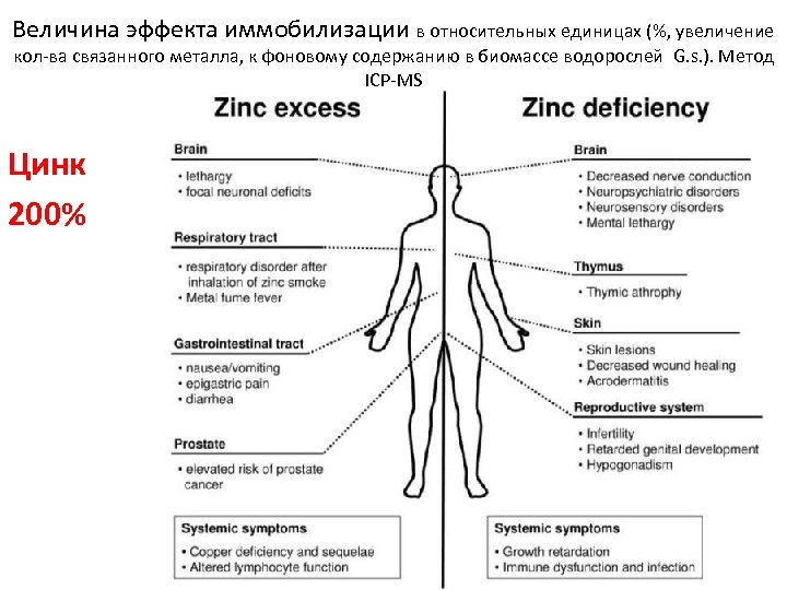 Величина эффекта иммобилизации в относительных единицах (%, увеличение кол-ва связанного металла, к фоновому содержанию
