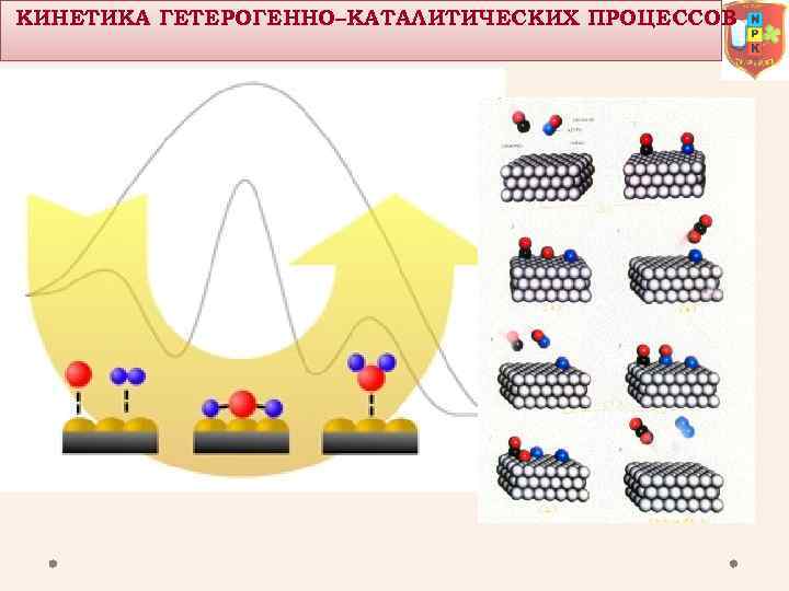 КИНЕТИКА ГЕТЕРОГЕННО–КАТАЛИТИЧЕСКИХ ПРОЦЕССОВ 