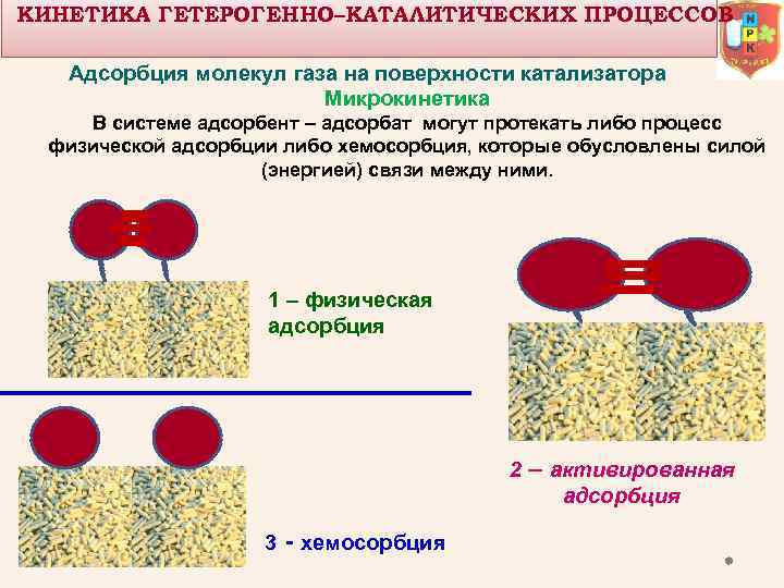 КИНЕТИКА ГЕТЕРОГЕННО–КАТАЛИТИЧЕСКИХ ПРОЦЕССОВ Адсорбция молекул газа на поверхности катализатора Микрокинетика В системе адсорбент –