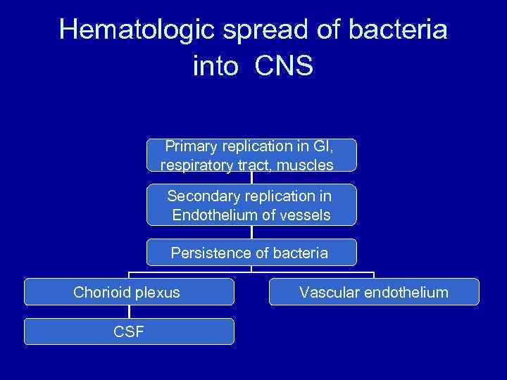 Hematologic spread of bacteria into CNS Primary replication in GI, respiratory tract, muscles Secondary
