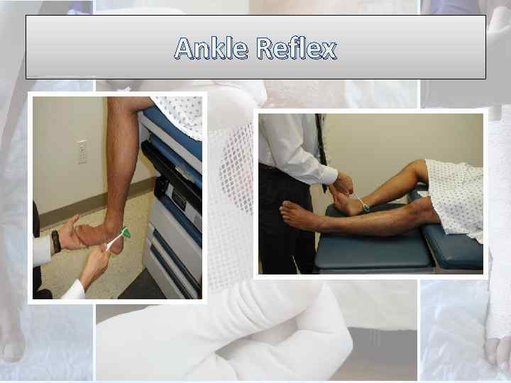 Ankle Reflex 