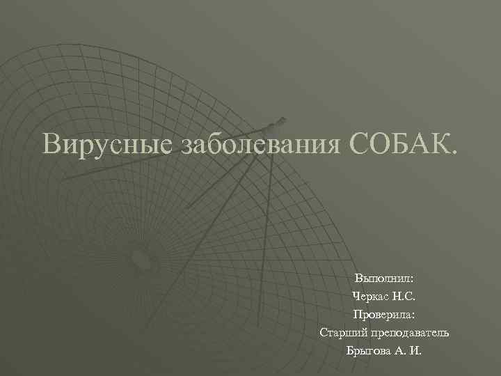 Вирусные заболевания СОБАК. Выполнил: Черкас Н. С. Проверила: Старший преподаватель Брыгова А. И. 