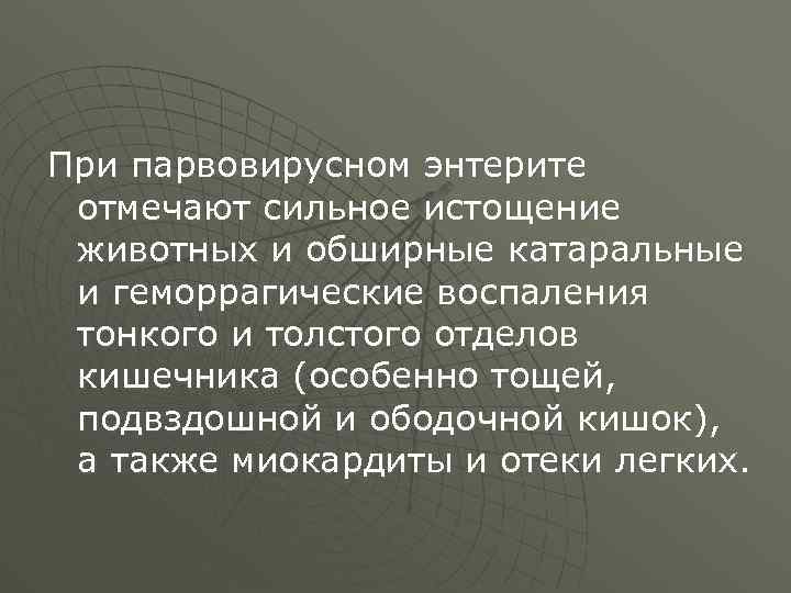 При парвовирусном энтерите отмечают сильное истощение животных и обширные катаральные и геморрагические воспаления тонкого