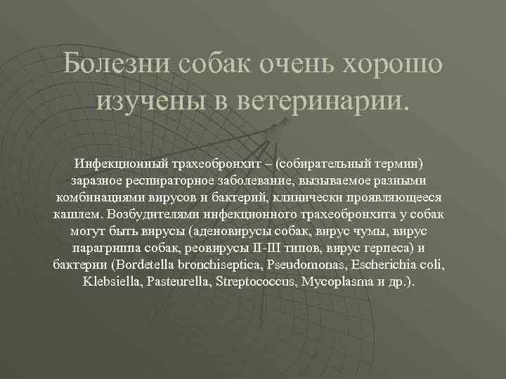 Болезни собак очень хорошо изучены в ветеринарии. Инфекционный трахеобронхит – (собирательный термин) заразное респираторное