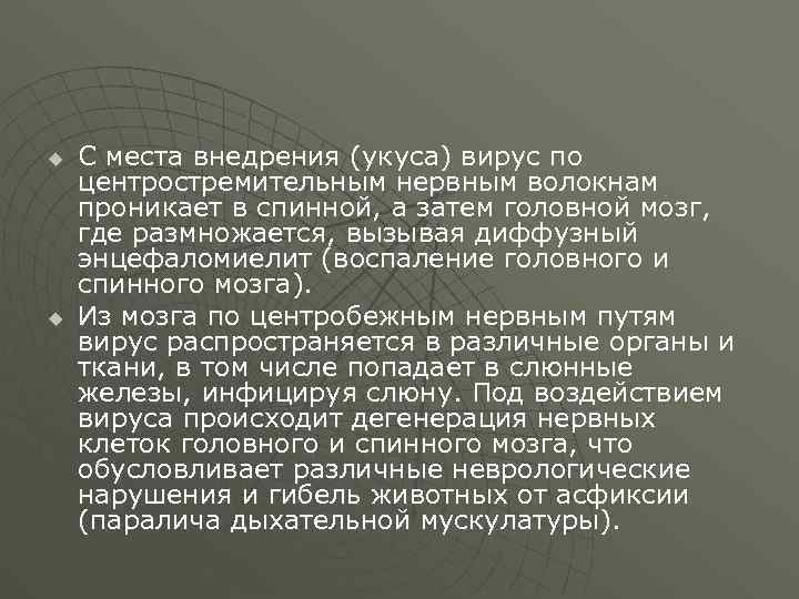 u u С места внедрения (укуса) вирус по центростремительным нервным волокнам проникает в спинной,
