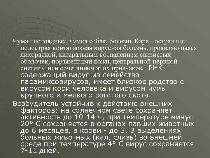 Чума плотоядных, чумка собак, болезнь Каре - острая или подострая контагиозная вирусная болезнь, проявляющаяся