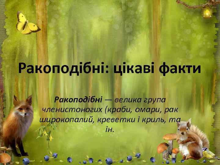 Ракоподібні: цікаві факти Ракоподібні — велика група членистоногих (краби, омари, рак широкопалий, креветки і