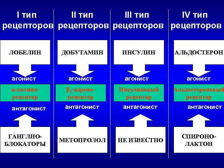 I тип III тип IV тип рецепторов ЛОБЕЛИН ДОБУТАМИН ИНСУЛИН агонист н-холинорецептор β 1