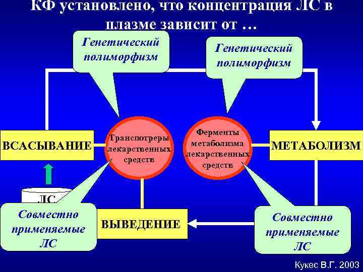 КФ установлено, что концентрация ЛС в плазме зависит от … Генетический полиморфизм ВСАСЫВАНИЕ ЛС