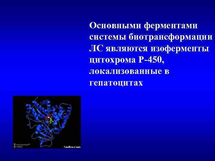 Основными ферментами системы биотрансформации ЛС являются изоферменты цитохрома Р-450, локализованные в гепатоцитах 